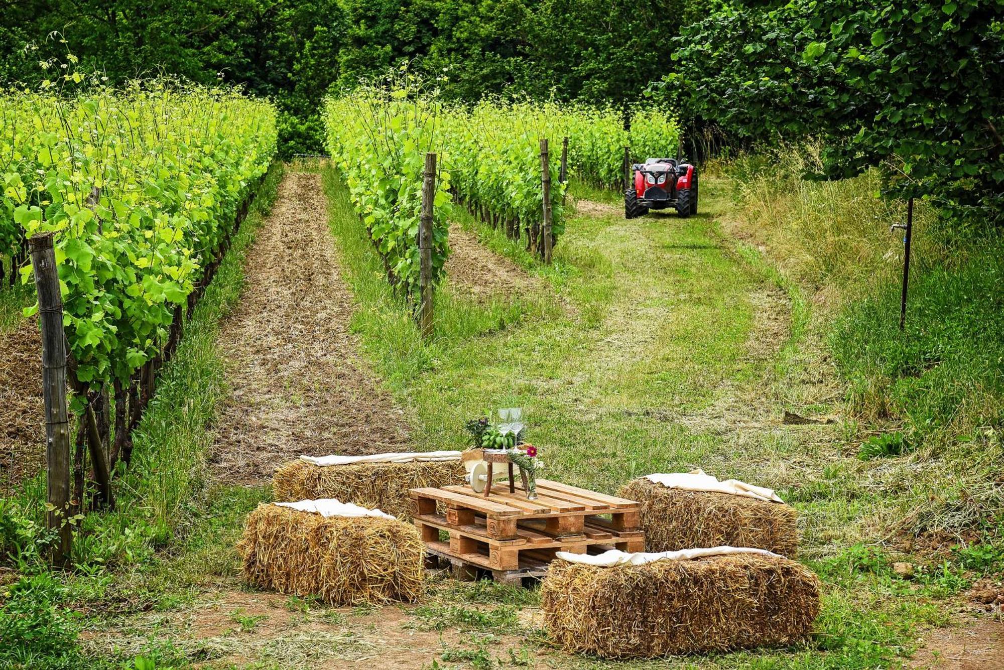 Agriturismo Guerritore Baronissi Kültér fotó