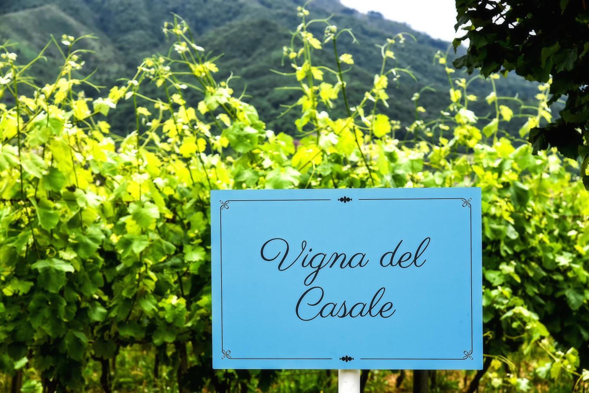 Agriturismo Guerritore Baronissi Kültér fotó
