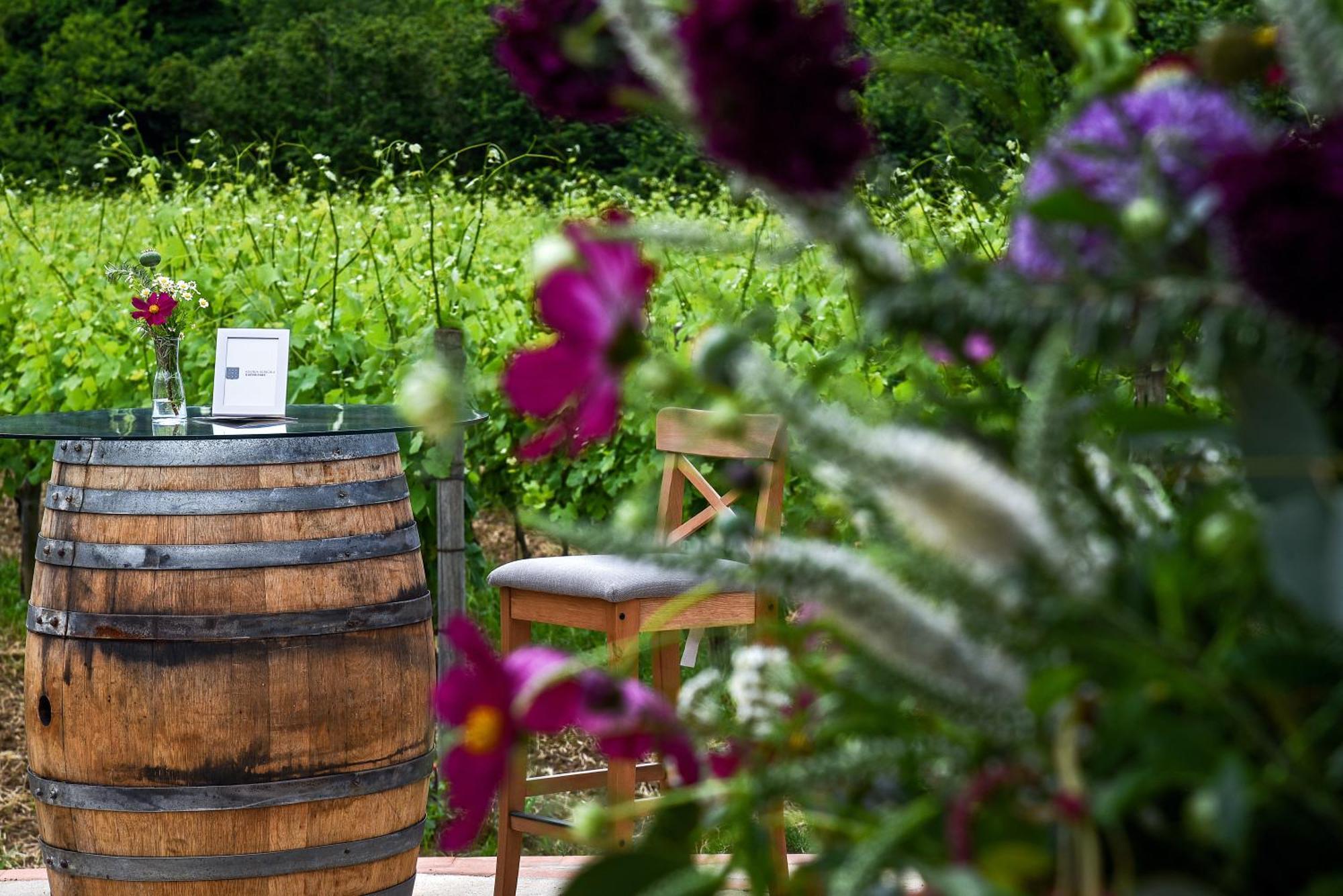 Agriturismo Guerritore Baronissi Kültér fotó